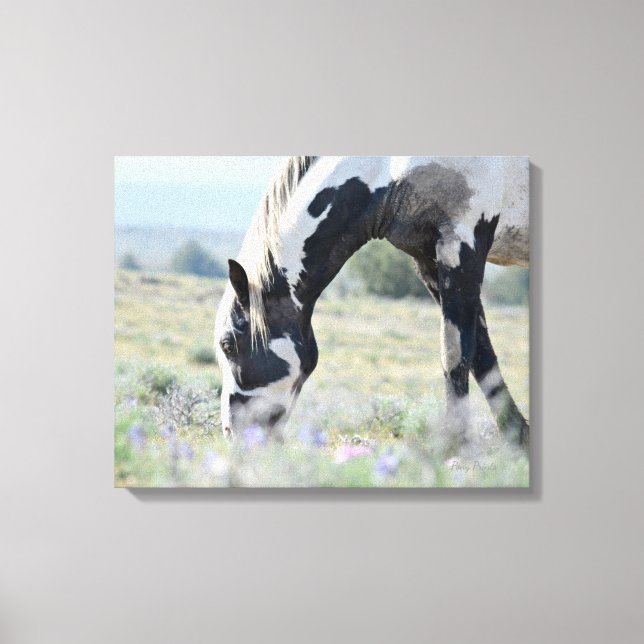 Maestro Stretched Canvas 20 x 16 Print (Front)