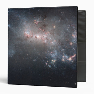 Magellanic dwarf irregular galaxy NGC 4449 Binder