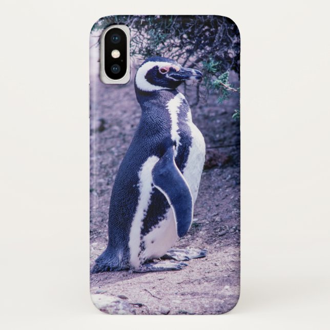 Magellanic Penguin in Peninsula Valdes - Argentina Case-Mate iPhone Case (Back)