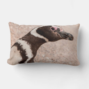 Magellanic Penguin, Patagonia, Argentina Lumbar Pillow