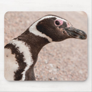 Magellanic Penguin, Patagonia, Argentina Mouse Pad