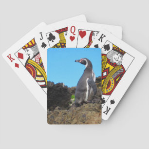 magellanic penguin playing cards
