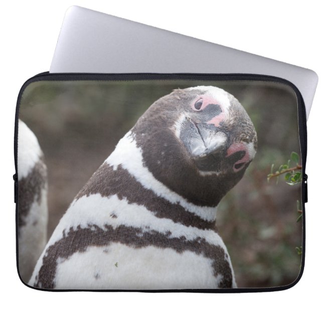 Magellanic Penguin Portrait Laptop Sleeve (Front)