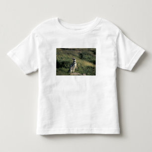 Magellanic Penguin (Spheniscus magellanicus), Toddler T-shirt