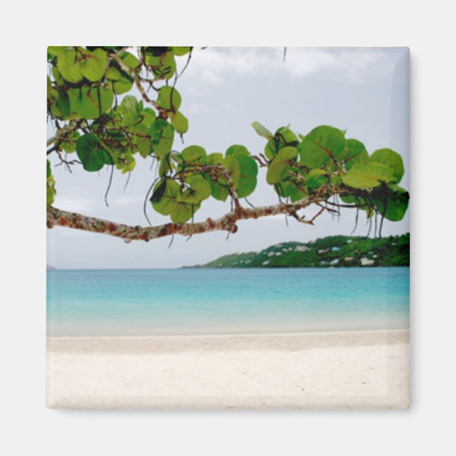 Magens Bay, St. Thomas Magnet Carré de 2 pouces (Devant)