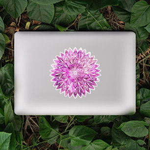 Magenta Galactic Texture Hand Drawn Mandala