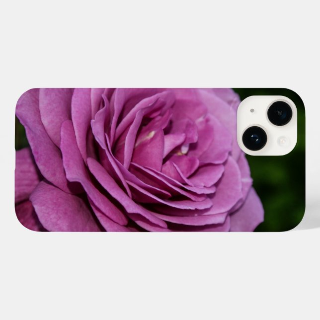 Magenta Garden Rose iPhone Case (Back (Horizontal))