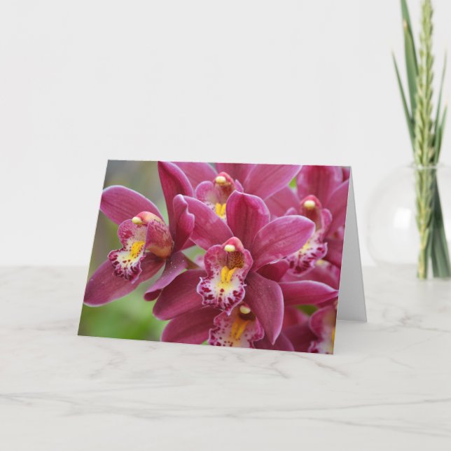 Magenta Orchids Blank Note Card (Front)