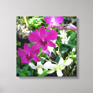 Magenta Orchids Wrapped Canvas
