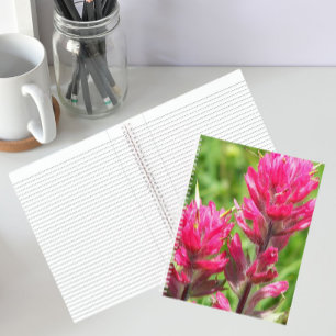 Magenta Paintbrush Blooms Floral Notebook