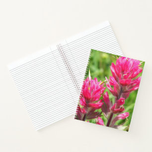 Magenta Paintbrush Blooms Floral Notebook