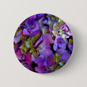 Magenta Purple Hydrangeas  Purple blue yellow  2 Inch Round Button