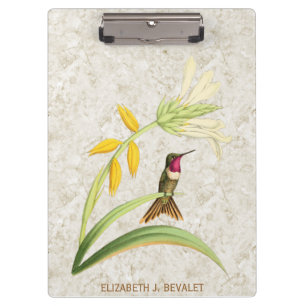 Magenta Throated Wood Star Hummingbird Clipboard
