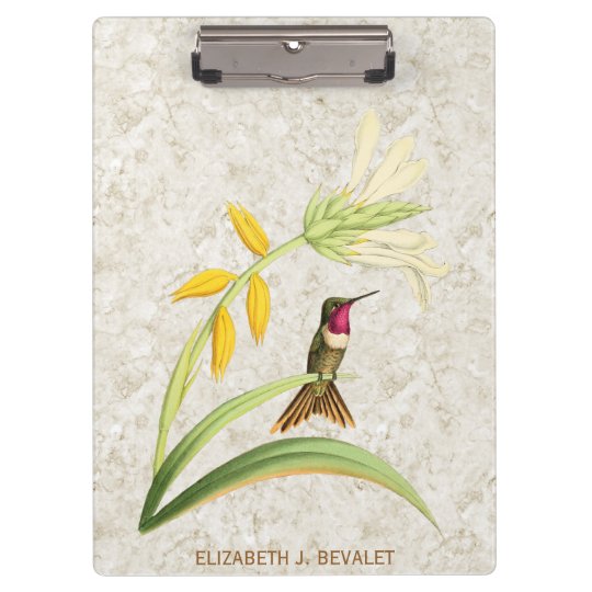Magenta Throated Wood Star Hummingbird Clipboards