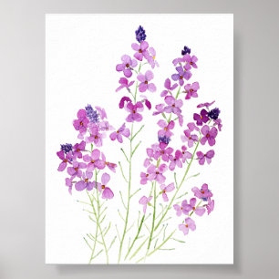 magenta wallflowers watercolor poster