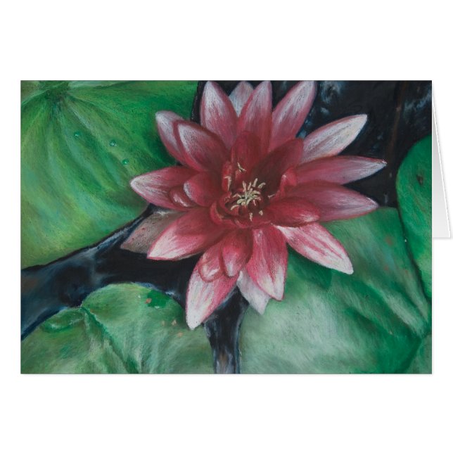 Magenta water lily (Front Horizontal)