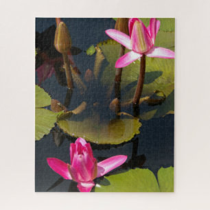 Magenta Waterlilies Jigsaw Puzzle