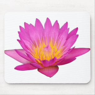 Magenta Waterlily 2 Mouse Pad