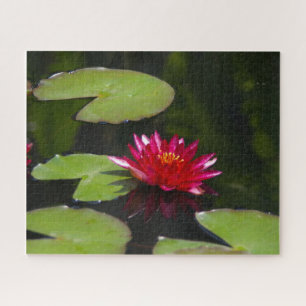 Magenta Waterlily Jigsaw Puzzle