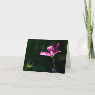 Magenta Wildflower Notecard