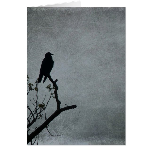 Magestic Crow (Front)