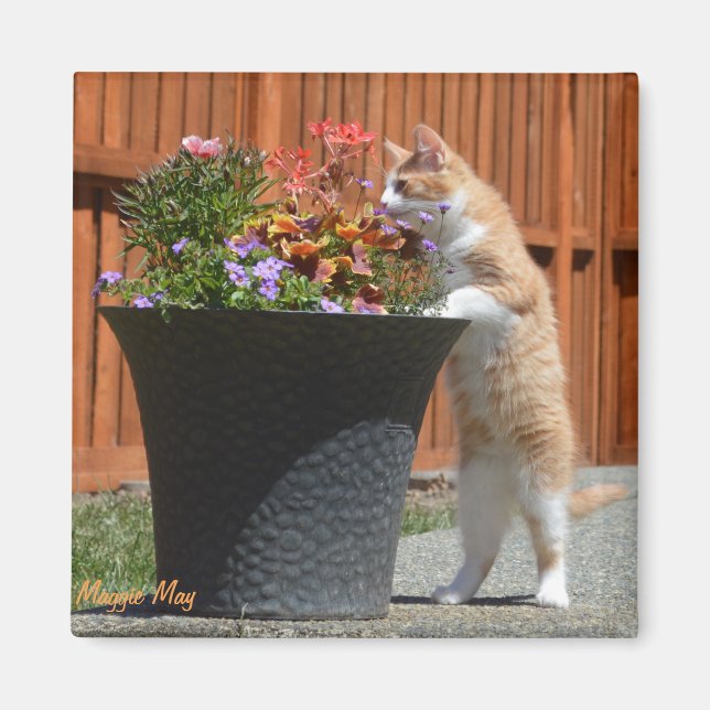 Maggie May & Flowers Magnet (Front)