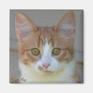 Maggie May Magnet