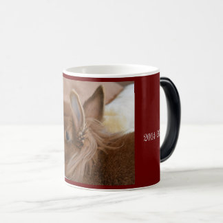 Magic Captain Carrotpants/Borys Memorial Mug