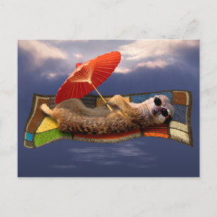 Magic Carpet Ride Postcard