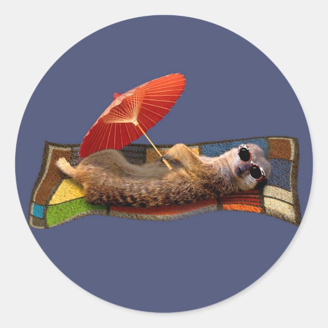 Magic Carpet Ride Sticker (Front)