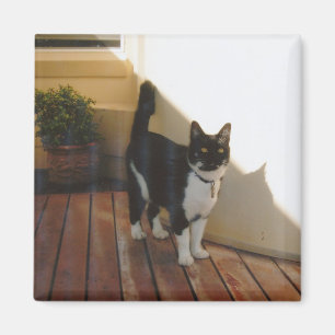 Magic Cat - Customized Magnet