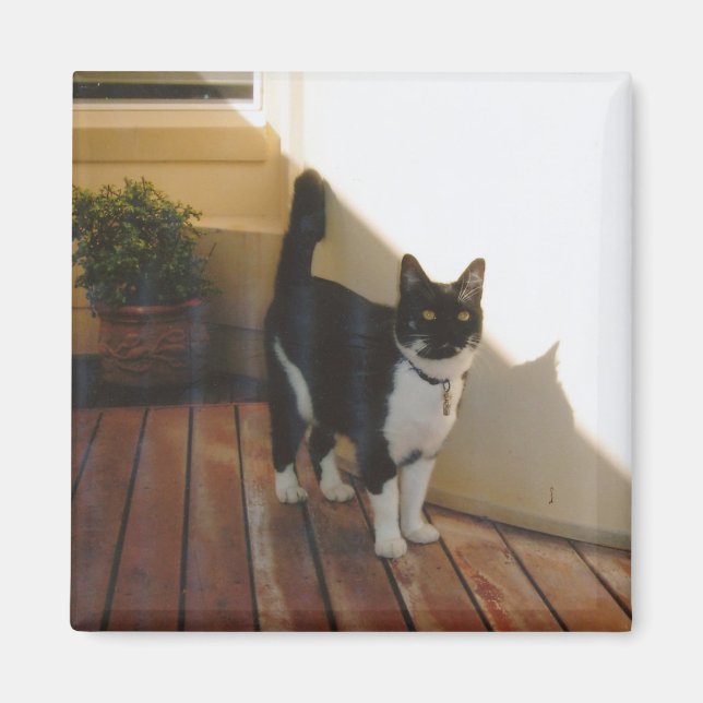 Magic Cat - Customized Magnet (Front)