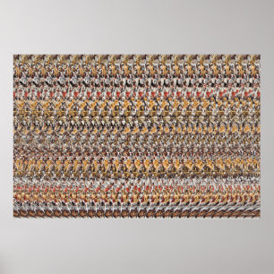 Magic Eye® 3D "Puppies Playing" Poster 36" x 24"