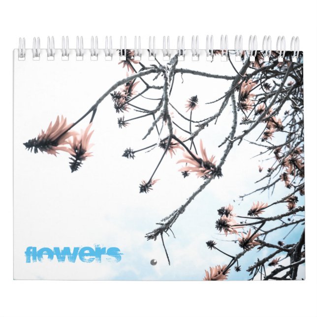 Magic Flowers Calendar (Cover)