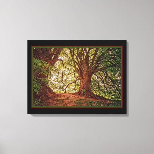 Magic Forest Canvas Print (Front)