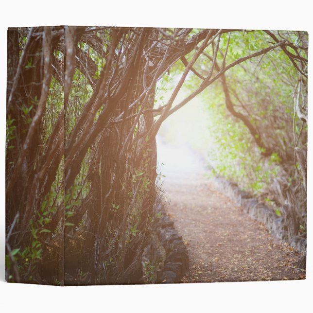 Magic forest in the morning binder (Front/Spine)