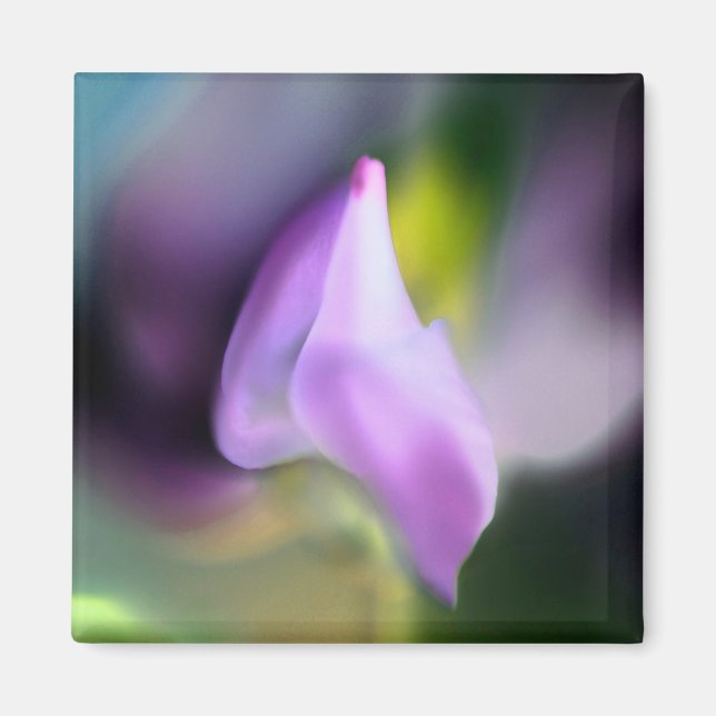 Magic Garden Design Magic Magnet (Devant)