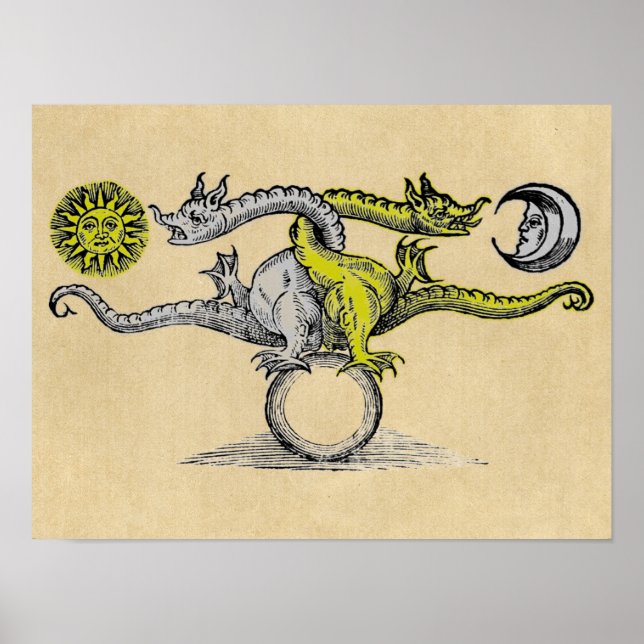 Magic Gold & Silver Dragons Poster (Front)