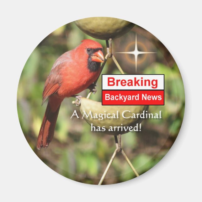 Magic Homme Cardinal Magnet (Devant)