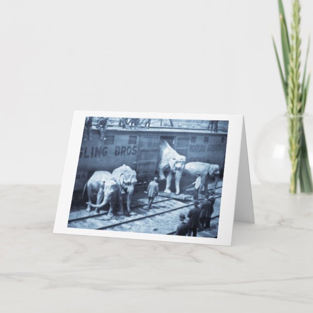 Magic Lantern Slide Ringling Bros Elephant Train Card (Front)
