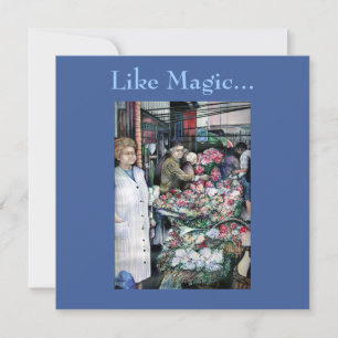 Magic Moment in Misloc Market