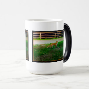 Magic Mug de Morphage Red Fox