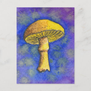 Magic Mushroom Postcard