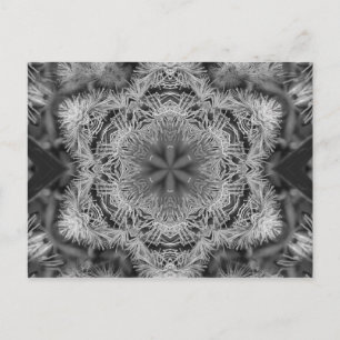 magic nature mandala horizontal postcard