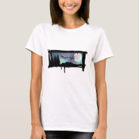 MAGIC NIGHT NORTHERN LIGHTS