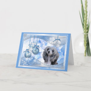 Magic of Christmas Chinese Crested Holiday Card