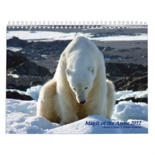 Magic of the Arctic Calendar