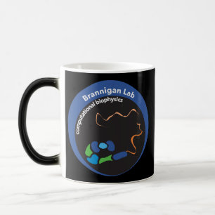 Magic PDI Mug