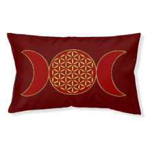 Magic Triple Moon - Spirit Flower Of Life 1 Hoodie