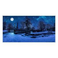 Magic winter night with starry sky and full moon
